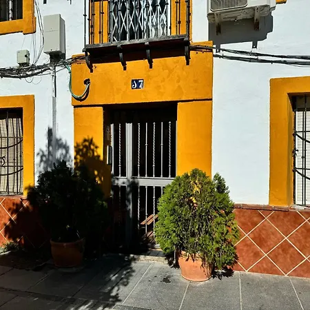 Mi Pasion Andalusi En Cordoba