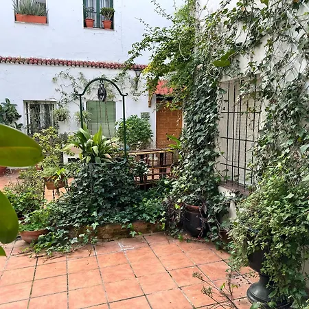 Mi Pasion Andalusi En Apartment Cordoba